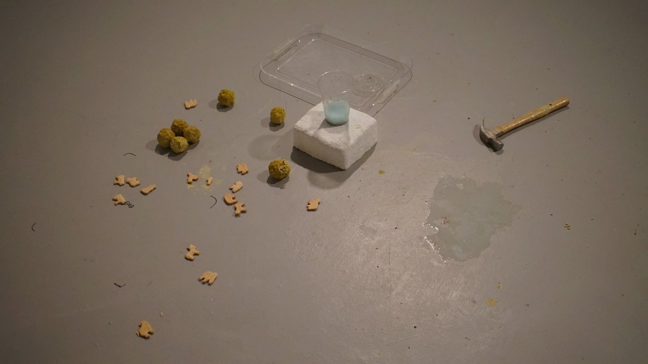 Documentation of objects from past performance including a hammer, animal crackers, and a plastic cup filled with a light blue substance. 