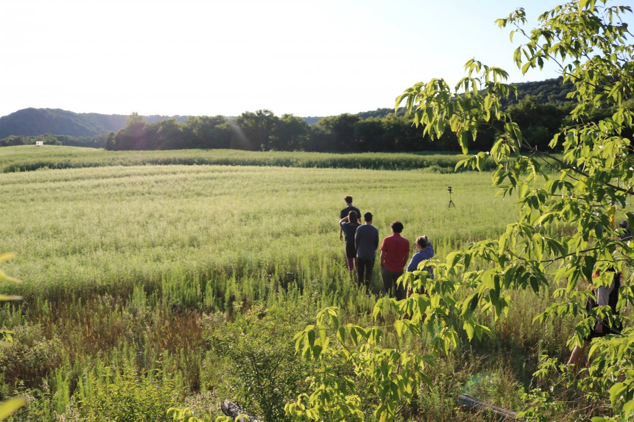 Group of artists talking a walk in a bright green field