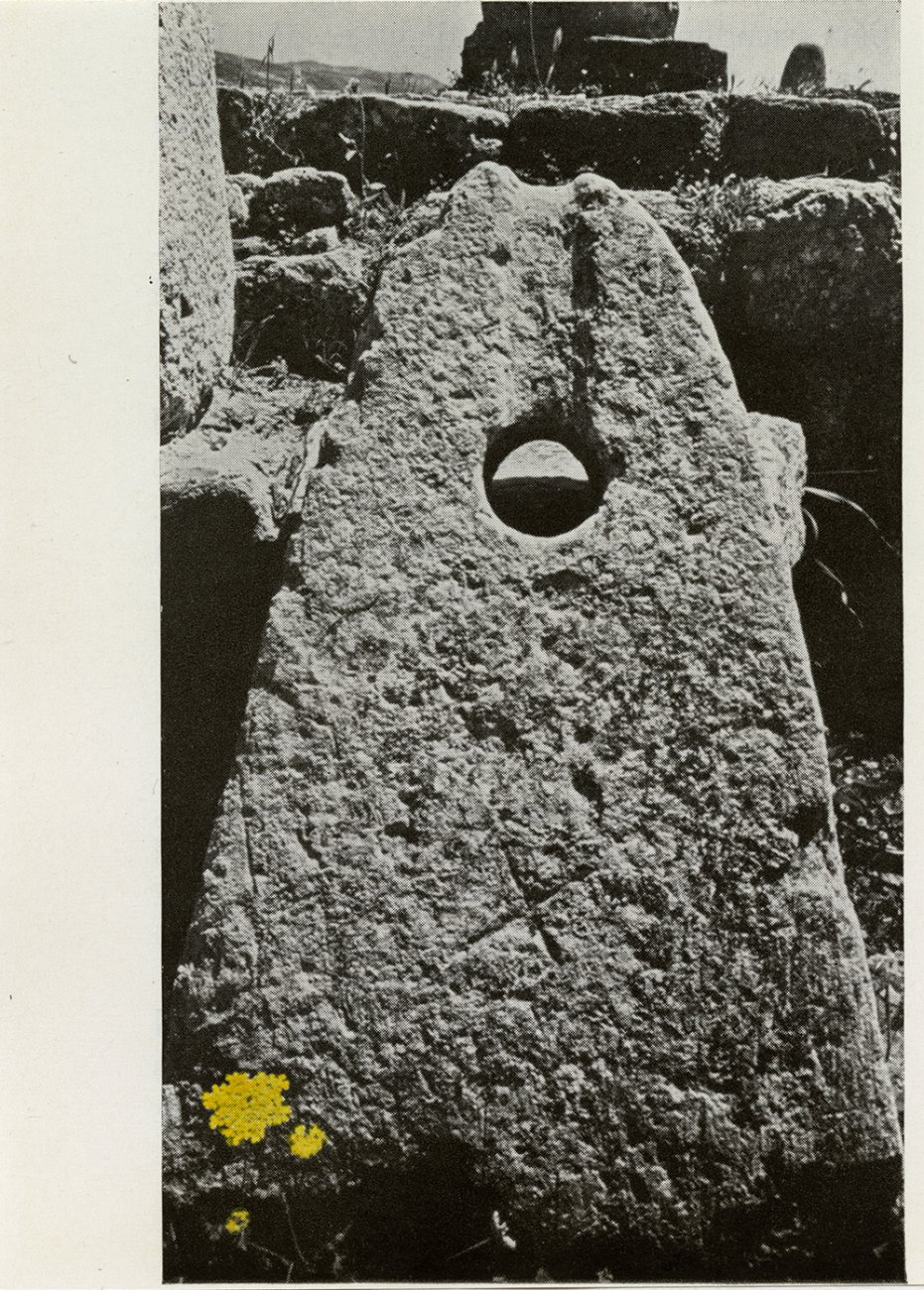 A black and white photograph of a rock structure with yellow flowers in the bottom left corner