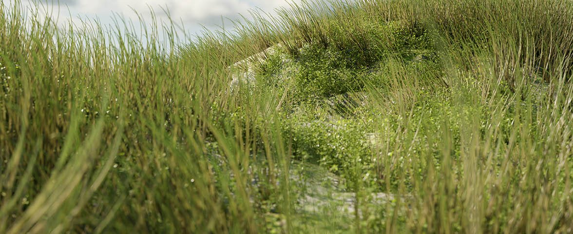 CGI of green grass blowing in the wind