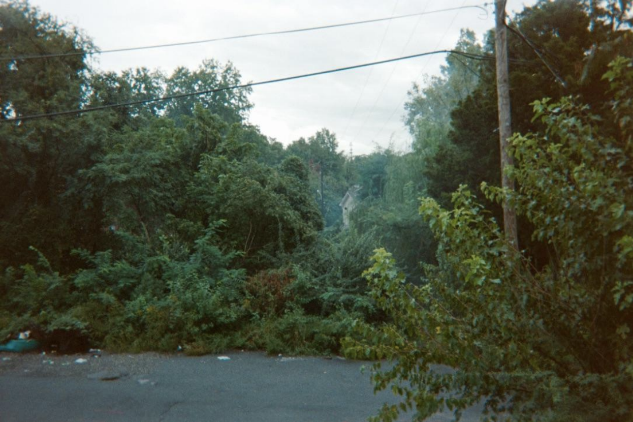 Photograph depicting an asphalt road with lush greenery surrounding it. 