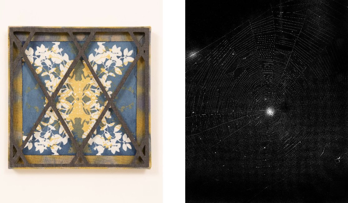 Left: Spray painted flower design set inside of a frame. The frame crisscrosses on top of the floral pattern. Right: A spiderweb shimmering in front of a black background. A light emerges from the web's center.