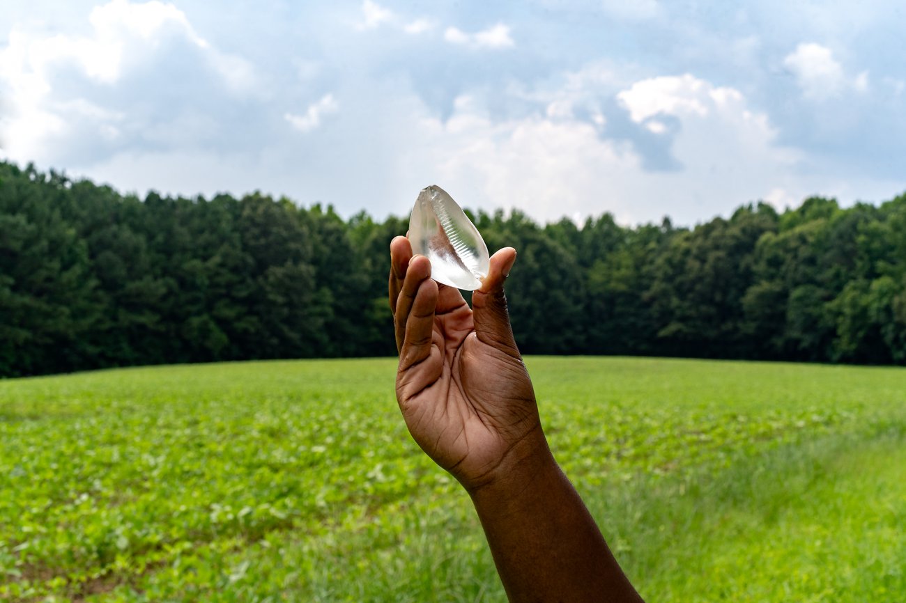 A dark-skinned hand holds a glass cowrie shell. A field of grass and trees are in the background.