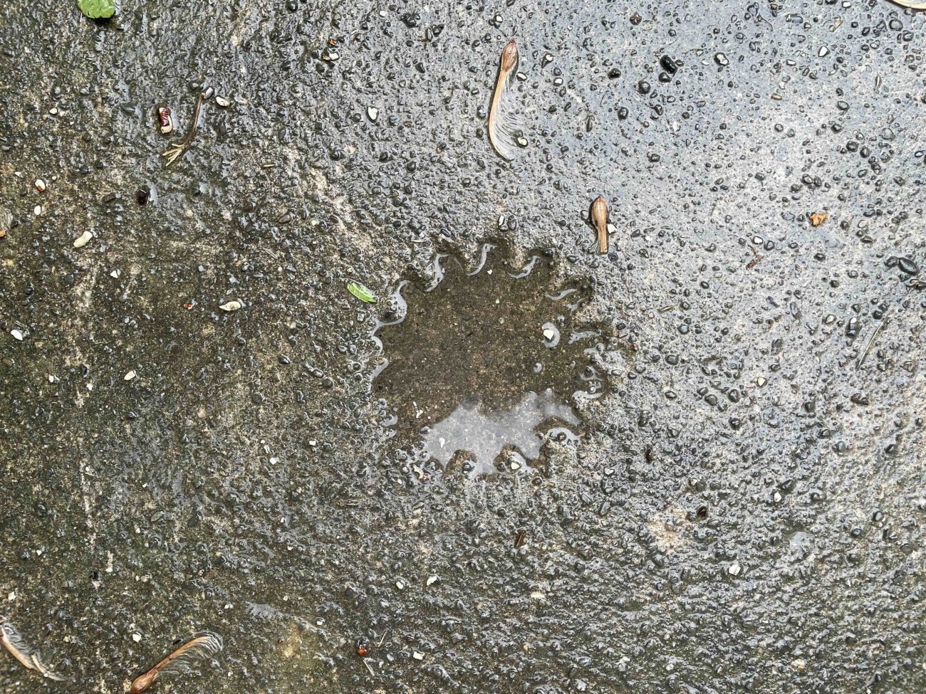 An impression of a gear or flower-shape in cement that is damp from the rain. The shallow indentation of the gear is filled with water.