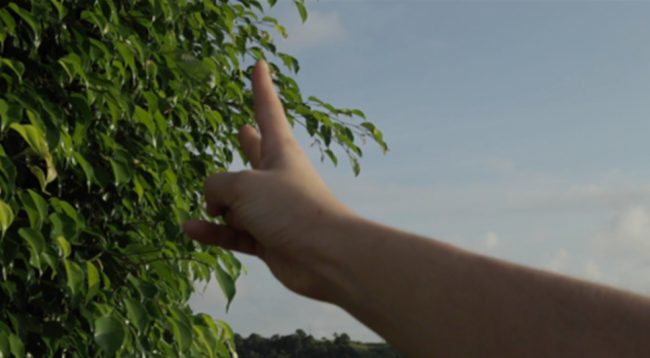 Video still of arm reaching in front of the camera, pointing with two fingers at a tree in the background against a blue sky.